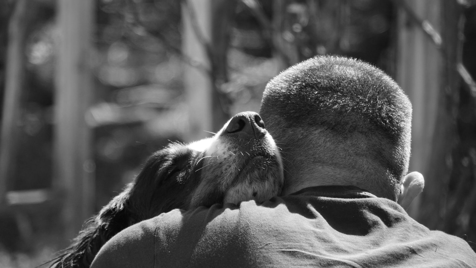 chien dépendant