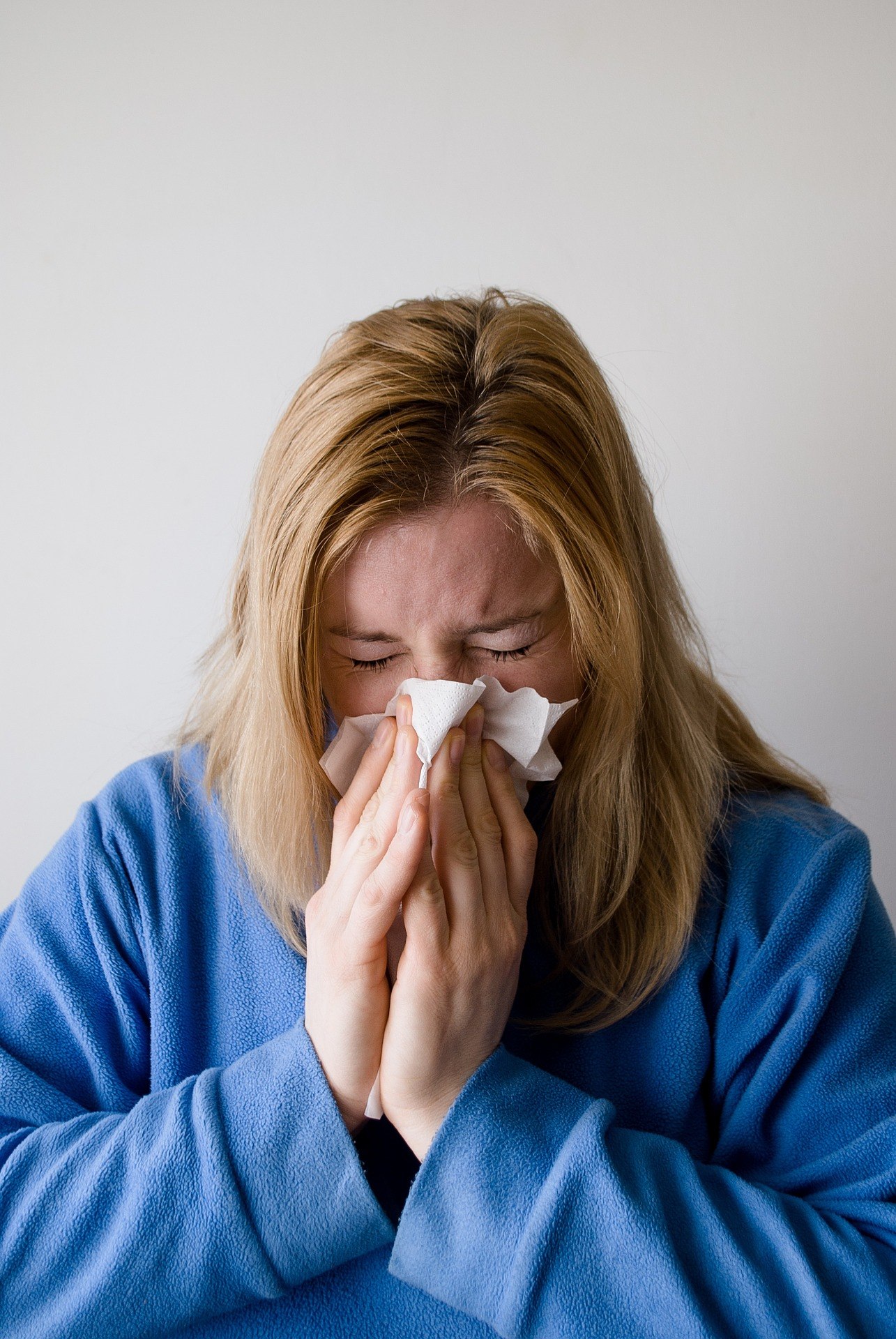 Chien hypoallergénique