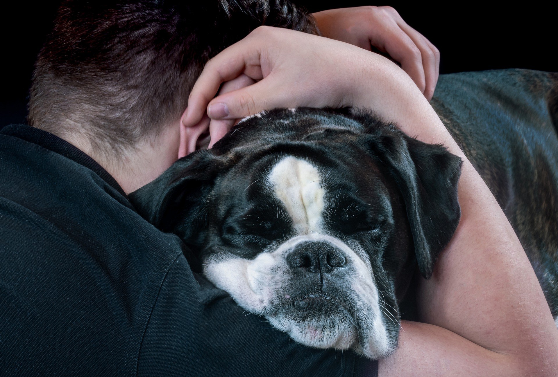 Premiers chiens