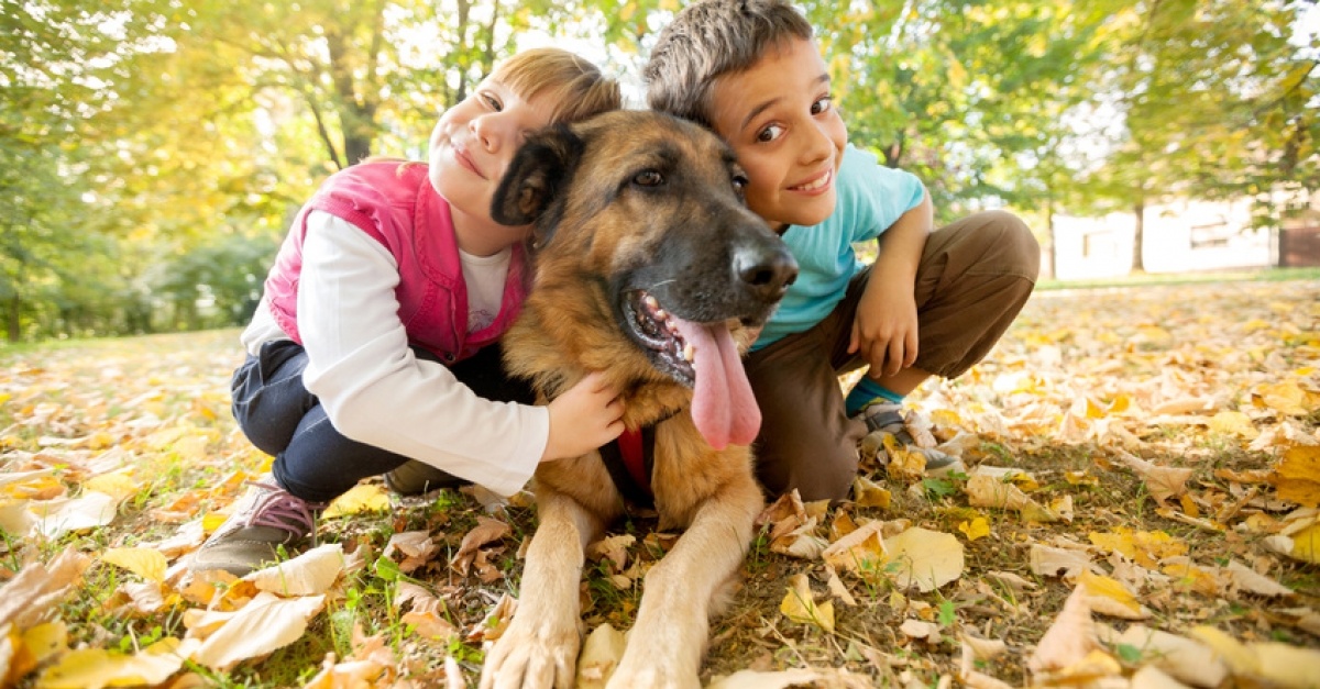 choisir-chien-enfant