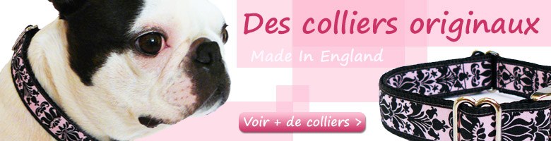 Colliers pour chien