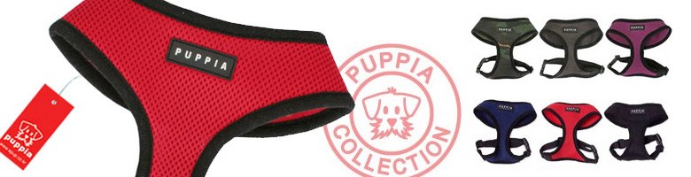 Harnais pour Chien