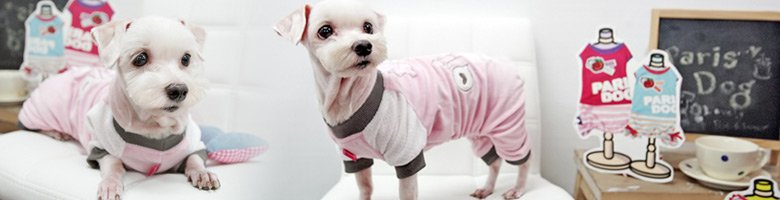 Vêtement pour chien