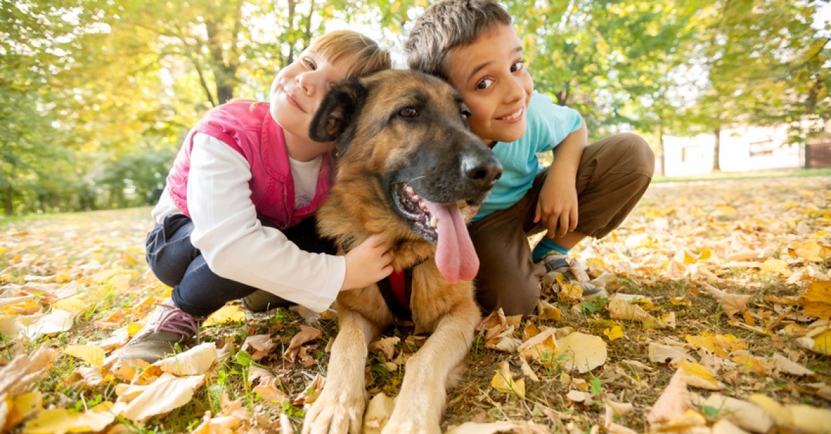 Comment faire cohabiter un chien avec des enfants : pourquoi faut-il cohabiter le chien avec les enfants ?