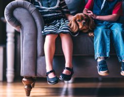 Top 6 des races de chiens faits pour les enfants