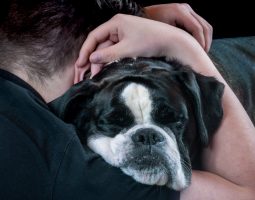 Premiers chiens: les 6 meilleures races